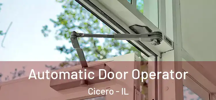 Automatic Door Operator Cicero - IL