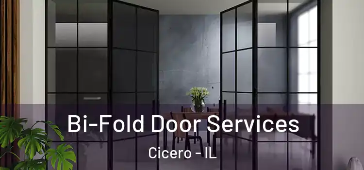 Bi-Fold Door Services Cicero - IL