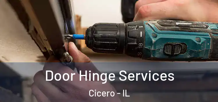 Door Hinge Services Cicero - IL