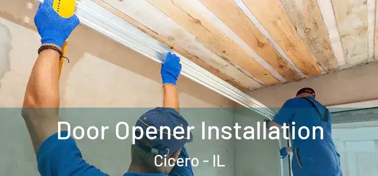  Door Opener Installation Cicero - IL