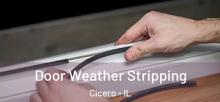 Door Weather Stripping Cicero - IL