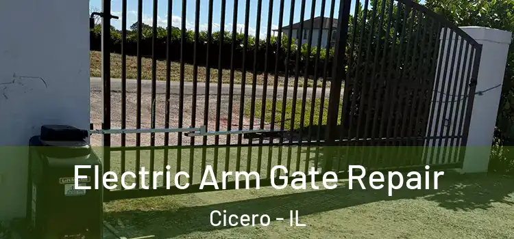 Electric Arm Gate Repair Cicero - IL