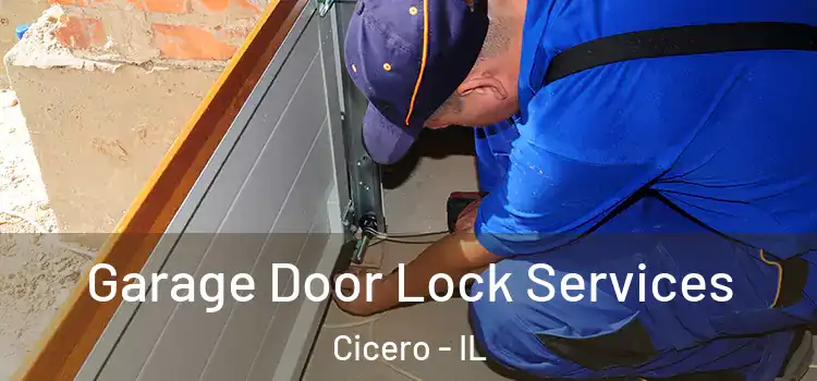Garage Door Lock Services Cicero - IL