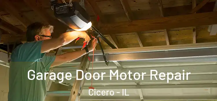  Garage Door Motor Repair Cicero - IL