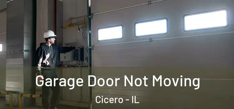  Garage Door Not Moving Cicero - IL