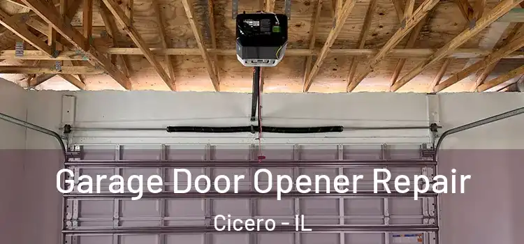  Garage Door Opener Repair Cicero - IL