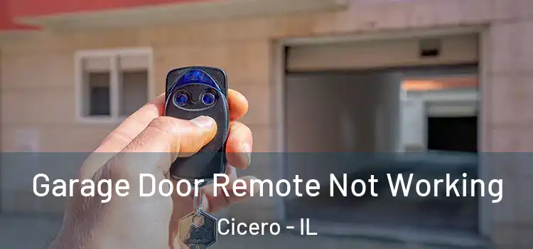  Garage Door Remote Not Working Cicero - IL