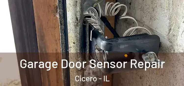 Garage Door Sensor Repair Cicero - IL