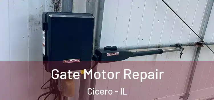 Gate Motor Repair Cicero - IL