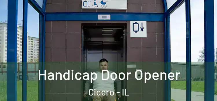  Handicap Door Opener Cicero - IL