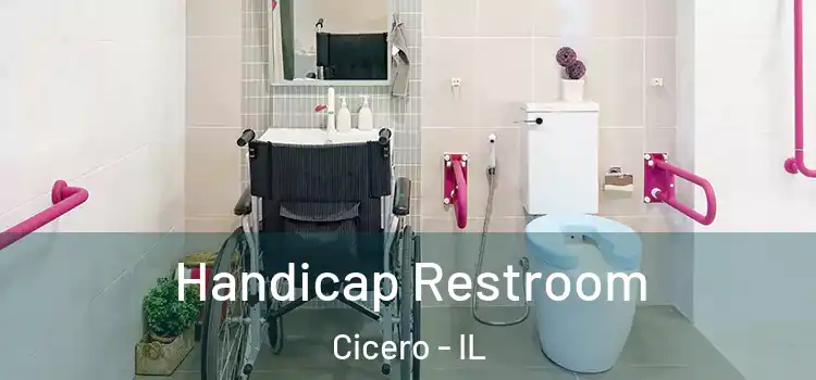 Handicap Restroom Cicero - IL