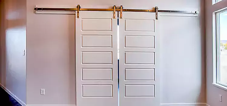 Glass Barn Door with Installation Hardware Kit Cicero