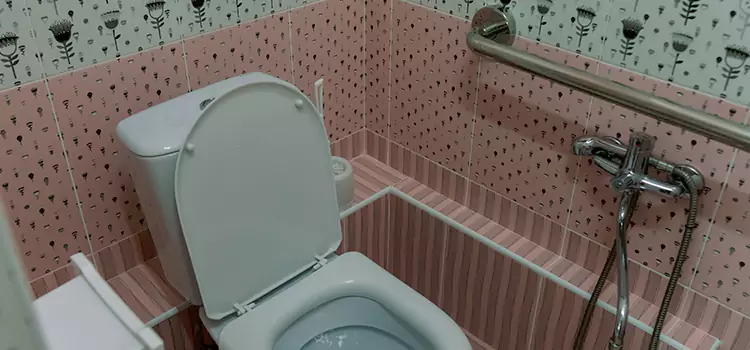 Meeting Diverse Needs With Accessible Restroom Solutions in Cicero, IL