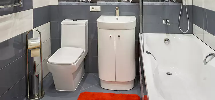 Hansgrohe Shaving Mirror Cicero