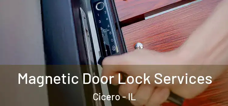 Magnetic Door Lock Services Cicero - IL