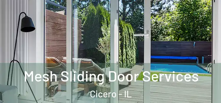 Mesh Sliding Door Services Cicero - IL