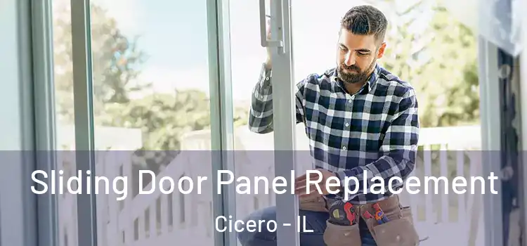  Sliding Door Panel Replacement Cicero - IL