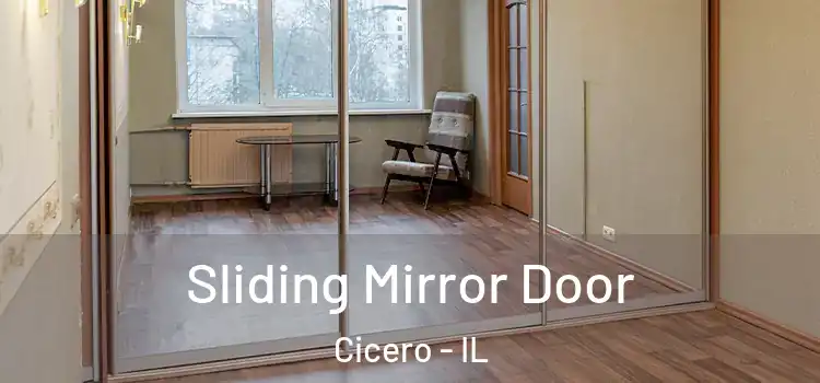  Sliding Mirror Door Cicero - IL